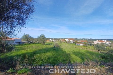 Tomt i Serra, Santarem, Serra - € 58 000 | Ref: 610/24 - foto 9