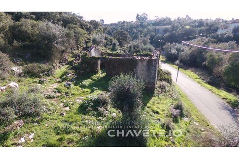 Ruïna a Ansiao, Leiria, Ansiao - € 28.000 | Ref: 801/22 - foto 5
