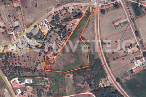 Helårsgrund i Tomar, Santarem, Tomar - € 140.000 | Ref: 600/21 - foto 3