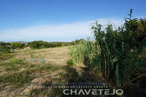 Helårsgrund i Tomar, Santarem, Tomar - € 140.000 | Ref: 600/21 - foto 4