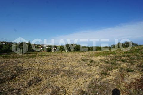 Helårsgrund i Tomar, Santarem, Tomar - € 140.000 | Ref: 600/21 - foto 5