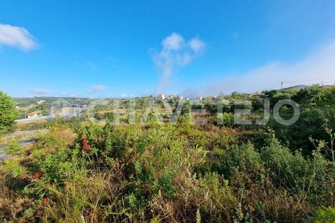 Helårsgrund i Tomar, Santarem, Tomar - € 40.000 | Ref: 613/21 - foto 1
