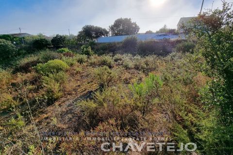 Helårsgrund i Tomar, Santarem, Tomar - € 40.000 | Ref: 613/21 - foto 4