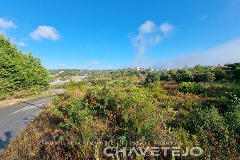 Helårsgrund i Tomar, Santarem, Tomar - € 40.000 | Ref: 613/21 - foto 6
