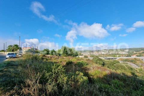 Helårsgrund i Tomar, Santarem, Tomar - € 40.000 | Ref: 613/21 - foto 10