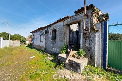 Landejendom i Serra, Santarem, Serra - € 39.920 | Ref: 840/23 - foto 5