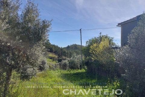 Landejendom i Serra, Santarem, Serra - € 39.920 | Ref: 840/23 - foto 11