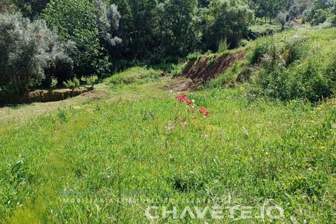 Helårsgrund i Serra, Santarem, Serra - € 29.000 | Ref: 615/24 - foto 2