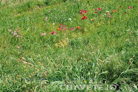 Helårsgrund i Serra, Santarem, Serra - € 29.000 | Ref: 615/24 - foto 7