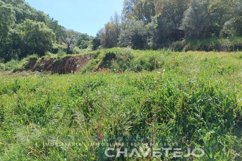 Helårsgrund i Serra, Santarem, Serra - € 29.000 | Ref: 615/24 - foto 8