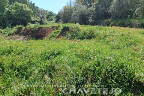 Helårsgrund i Serra, Santarem, Serra - € 29.000 | Ref: 615/24 - foto 9