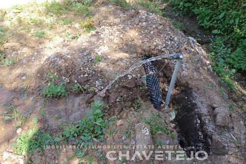 Helårsgrund i Serra, Santarem, Serra - € 29.000 | Ref: 615/24 - foto 10