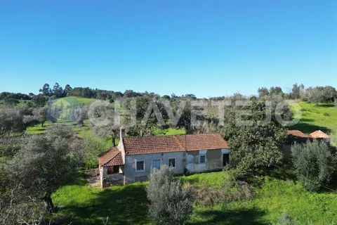 Landejendom i Tomar, Santarem, Tomar - € 250.000 | Ref: 828/19 - foto 3