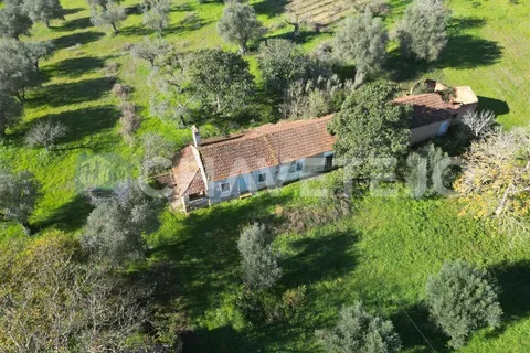 Landejendom i Tomar, Santarem, Tomar - € 250.000 | Ref: 828/19 - foto 5