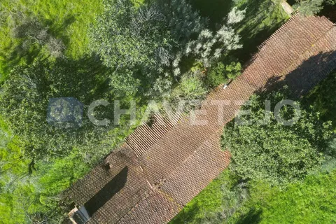 Landejendom i Tomar, Santarem, Tomar - € 250.000 | Ref: 828/19 - foto 6
