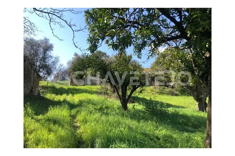 Landejendom i Tomar, Santarem, Tomar - € 250.000 | Ref: 828/19 - foto 7