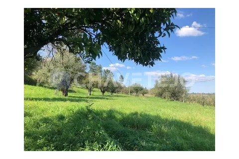 Landejendom i Tomar, Santarem, Tomar - € 250.000 | Ref: 828/19 - foto 8