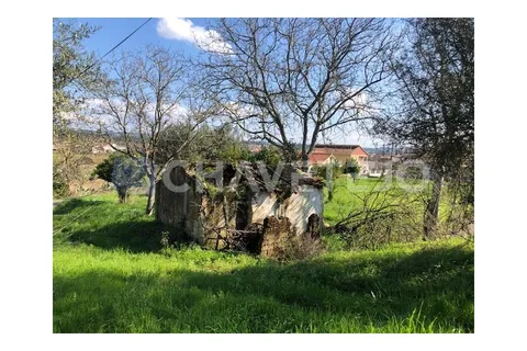 Landejendom i Tomar, Santarem, Tomar - € 250.000 | Ref: 828/19 - foto 9