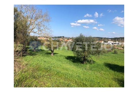 Landejendom i Tomar, Santarem, Tomar - € 250.000 | Ref: 828/19 - foto 10