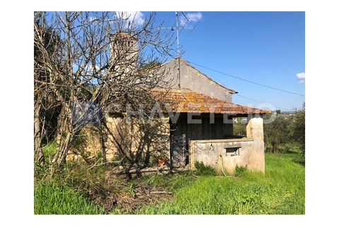 Landejendom i Tomar, Santarem, Tomar - € 250.000 | Ref: 828/19 - foto 20