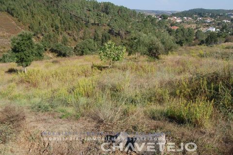 Helårsgrund i Tomar, Santarem, Tomar - € 80.000 | Ref: 617/18 - foto 3