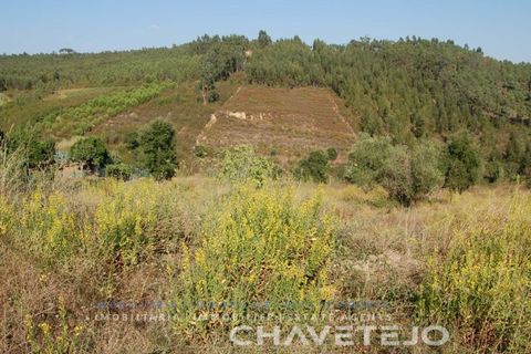 Helårsgrund i Tomar, Santarem, Tomar - € 80.000 | Ref: 617/18 - foto 4