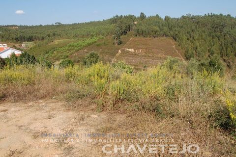 Helårsgrund i Tomar, Santarem, Tomar - € 80.000 | Ref: 617/18 - foto 5