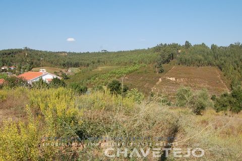 Helårsgrund i Tomar, Santarem, Tomar - € 80.000 | Ref: 617/18 - foto 6