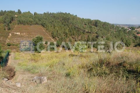 Helårsgrund i Tomar, Santarem, Tomar - € 80.000 | Ref: 617/18 - foto 7