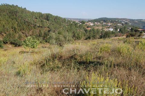 Helårsgrund i Tomar, Santarem, Tomar - € 80.000 | Ref: 617/18 - foto 8