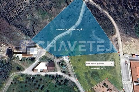 Helårsgrund i Ourem, Santarem, Ourem - € 53.500 | Ref: 616/24 - foto 3