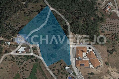 Helårsgrund i Ourem, Santarem, Ourem - € 53.500 | Ref: 616/24 - foto 4