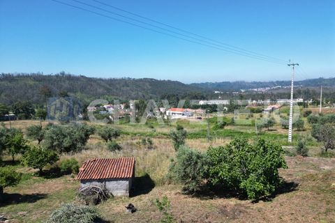 Helårsgrund i Ourem, Santarem, Ourem - € 53.500 | Ref: 616/24 - foto 5