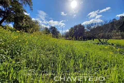 Helårsgrund i Tomar, Santarem, Tomar - € 9.000 | Ref: 606/24 - foto 1