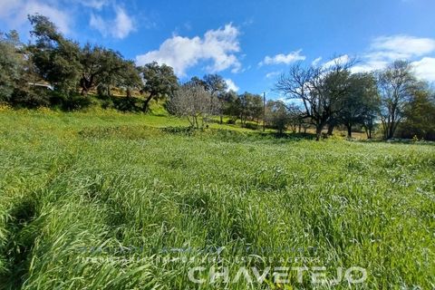 Helårsgrund i Tomar, Santarem, Tomar - € 9.000 | Ref: 606/24 - foto 2