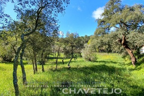 Helårsgrund i Tomar, Santarem, Tomar - € 9.000 | Ref: 606/24 - foto 3
