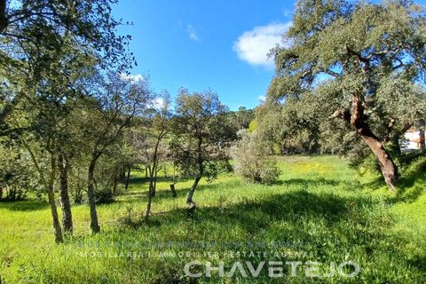 Helårsgrund i Tomar, Santarem, Tomar - € 9.000 | Ref: 606/24 - foto 4