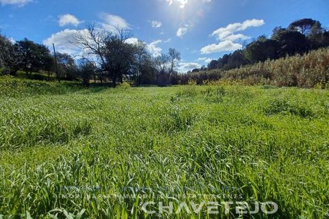 Helårsgrund i Tomar, Santarem, Tomar - € 9.000 | Ref: 606/24 - foto 5