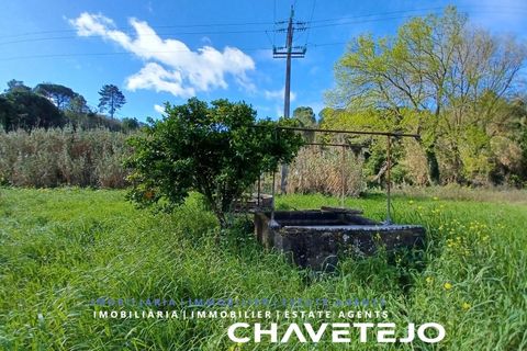 Helårsgrund i Tomar, Santarem, Tomar - € 9.000 | Ref: 606/24 - foto 6