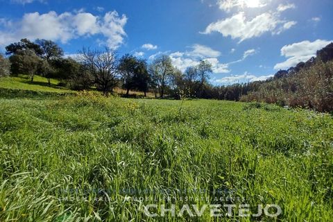 Helårsgrund i Tomar, Santarem, Tomar - € 9.000 | Ref: 606/24 - foto 7