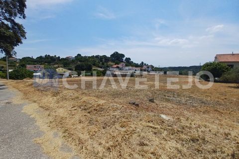 Helårsgrund i Tomar, Santarem, Tomar - € 70.000 | Ref: 610/21 - foto 8