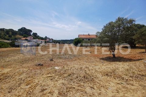 Helårsgrund i Tomar, Santarem, Tomar - € 70.000 | Ref: 610/21 - foto 9