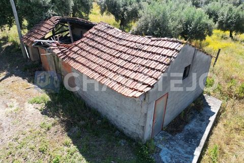 Helårsgrund i Ourem, Santarem, Ourem - € 20.000 | Ref: 617/24 - foto 1