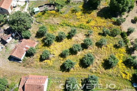 Helårsgrund i Ourem, Santarem, Ourem - € 20.000 | Ref: 617/24 - foto 2