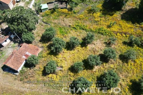 Helårsgrund i Ourem, Santarem, Ourem - € 20.000 | Ref: 617/24 - foto 3