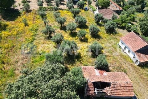 Helårsgrund i Ourem, Santarem, Ourem - € 20.000 | Ref: 617/24 - foto 4