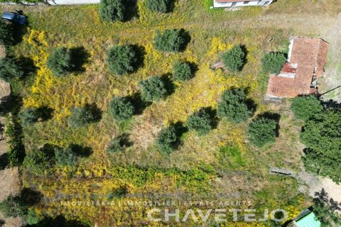 Helårsgrund i Ourem, Santarem, Ourem - € 20.000 | Ref: 617/24 - foto 5
