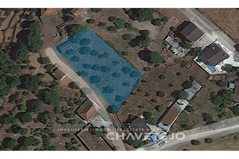 Helårsgrund i Ourem, Santarem, Ourem - € 20.000 | Ref: 617/24 - foto 8