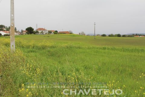 Terra a Tomar, Santarem, Tomar - € 130.000 | Ref: 604/21 - foto 2