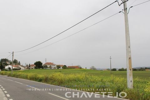Terra a Tomar, Santarem, Tomar - € 130.000 | Ref: 604/21 - foto 3
